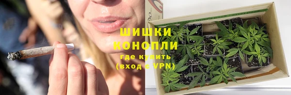 PSILOCYBIN Белокуриха