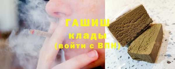 PSILOCYBIN Белокуриха