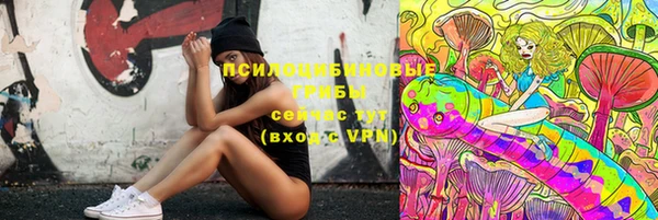 PSILOCYBIN Белокуриха