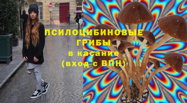 MDMA Богородск