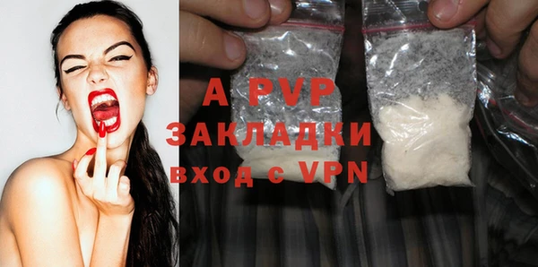 PSILOCYBIN Белокуриха